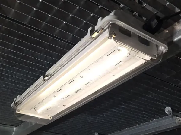 OptiLine  | ATEX Light Fitting - Image 5