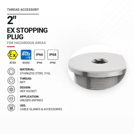 Zaślepka 2" Stal nierdzewna 316L | NPT